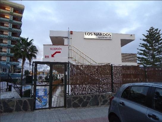 Los Nardos Playa del Inglés Eksteriør billede